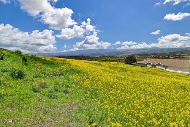 0 Calle Hondanada, Thousand Oaks CA: https://media.crmls.org/mediaz/59e28aba-309c-4d73-bc0f-a38e011d97ff.jpg