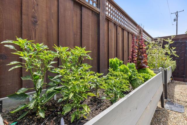 843 First Avenue, Half Moon Bay CA: https://media.crmls.org/mediaz/59e44cbc-9449-4a3f-b4b0-9e8216291f2f.jpg