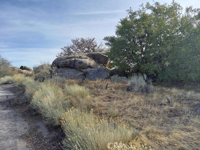 Detail Gallery Image 7 of 8 For 0 Amberwood Ct, Tehachapi,  CA 93561 - – Beds | – Baths