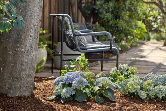 Image 31 of 38 For 1619 Escobita Avenue