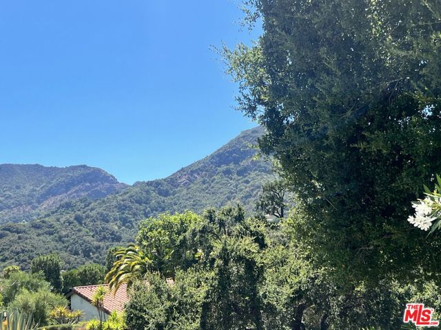 1629 Michael Lane, Pacific Palisades CA: https://media.crmls.org/mediaz/5a06bc06-f0e5-41a1-bffa-42013171b3ae.jpg