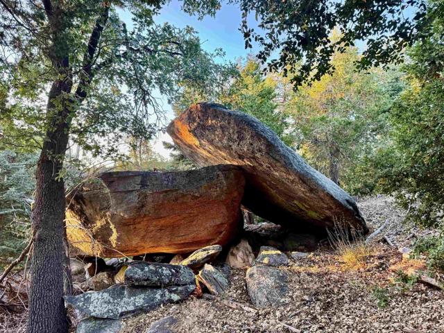 Detail Gallery Image 13 of 47 For 10 Acres Greenfield Way, Palomar Mountain,  CA 92060 - – Beds | – Baths