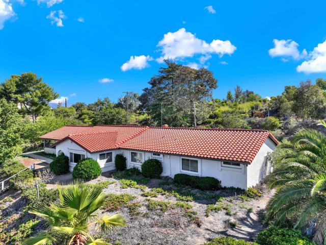 Front Image Thumbnail for CRNDP2509817