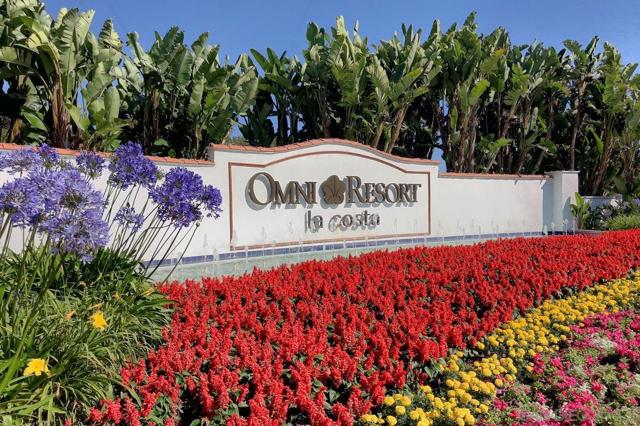 2005 Costa Del Mar Rd, Carlsbad CA: https://media.crmls.org/mediaz/5a1fa77e-04e0-4951-8292-27c763b3bcfd.jpg