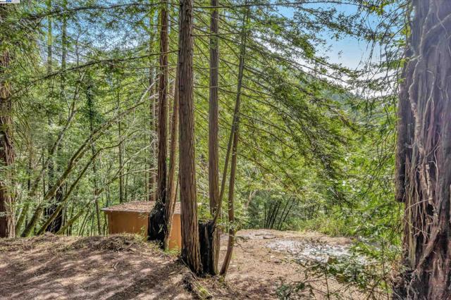 Image 4 of 12 For 21409 Hazel Way