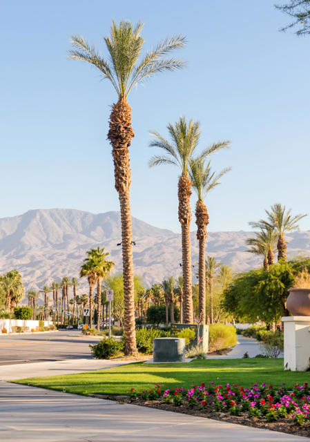 48673 Classic Drive, La Quinta CA: https://media.crmls.org/mediaz/5a35f257-22c5-4cde-8ec2-5470a14fc32c.jpg