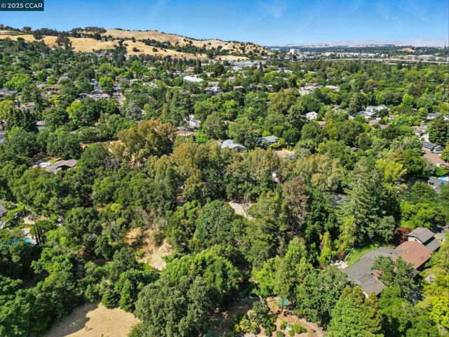 1491 Boulevard Way, Walnut Creek CA: https://media.crmls.org/mediaz/5a39fc80-6655-4ff0-84a1-a6b2d43295e1.jpg