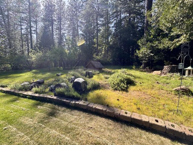 14543 Kathy Lane, Pioneer CA: https://media.crmls.org/mediaz/5a4c166e-ece2-49a9-91ea-56c38c1fd66d.jpg