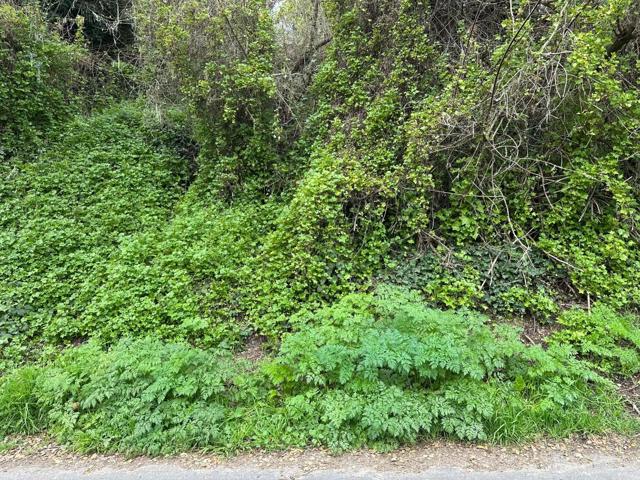 0 Encino Drive, Aptos CA: https://media.crmls.org/mediaz/5a514f74-1c7c-4f19-b430-6246815b5e4b.jpg