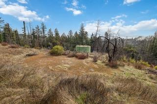 1005 Pinecrest Drive, Boulder Creek CA: https://media.crmls.org/mediaz/5a51f1ef-7de5-4395-bd17-1117bf97dada.jpg