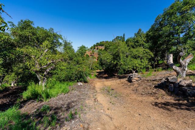 0 Wilt Road, Fallbrook CA: https://media.crmls.org/mediaz/5a56d469-b38c-4c23-9283-24d0b011f0be.jpg