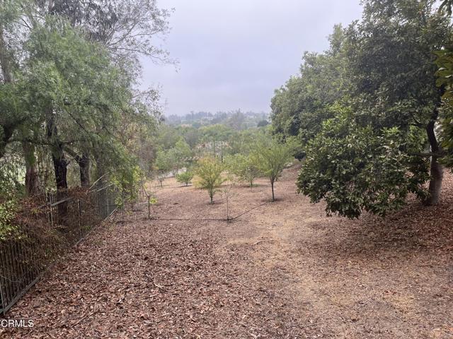 1708 Via Aracena, Camarillo CA: https://media.crmls.org/mediaz/5a625e5e-aba4-4422-abcd-1d0b2f06f7cc.jpg
