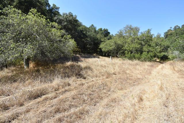 0 Alexander Lane, San Juan Bautista CA: https://media.crmls.org/mediaz/5a669167-cc18-478a-afd4-81d527f6fa77.jpg