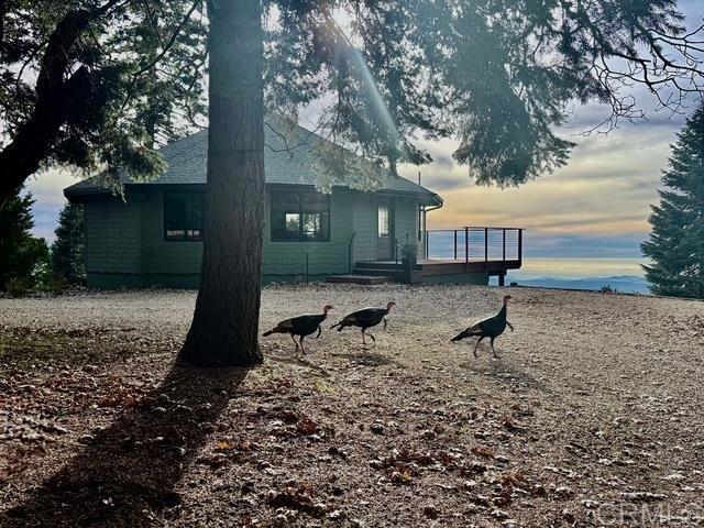 Detail Gallery Image 39 of 75 For 3413 Fern Meadow Rd, Palomar Mountain,  CA 92060 - 3 Beds | 3/1 Baths