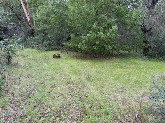 11 Little Uvas Road, Morgan Hill CA: https://media.crmls.org/mediaz/5a74434f-f592-4797-9ee6-e592eda19346.jpg