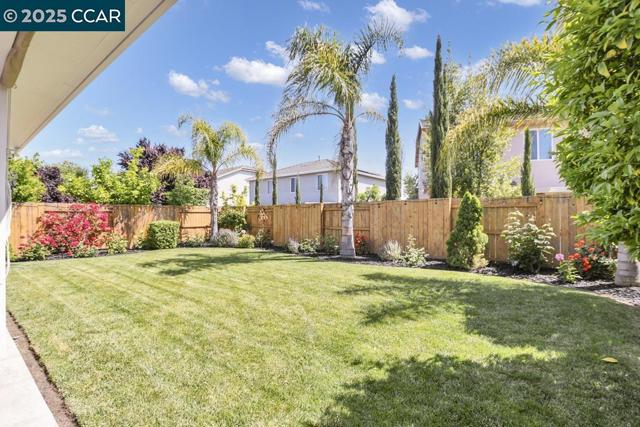 369 Myrtle Ln, Oakley CA: https://media.crmls.org/mediaz/5a769cee-c348-4f34-86af-5916c2148fd4.jpg