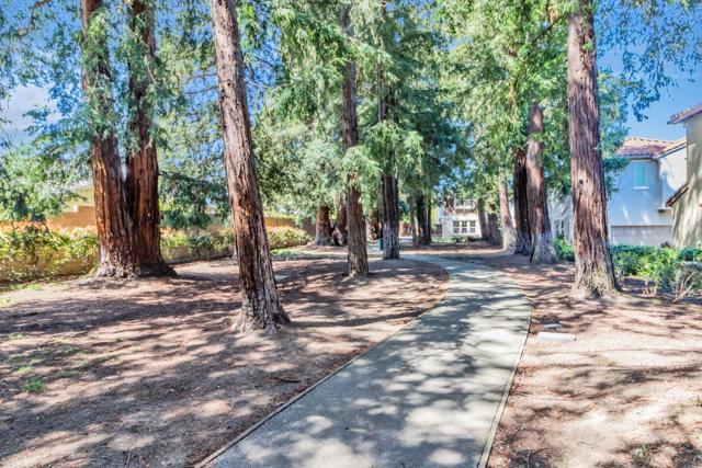 3168 Via Siena Place, Santa Clara CA: https://media.crmls.org/mediaz/5a82d148-8686-480f-8b76-3b7f5ecec19e.jpg