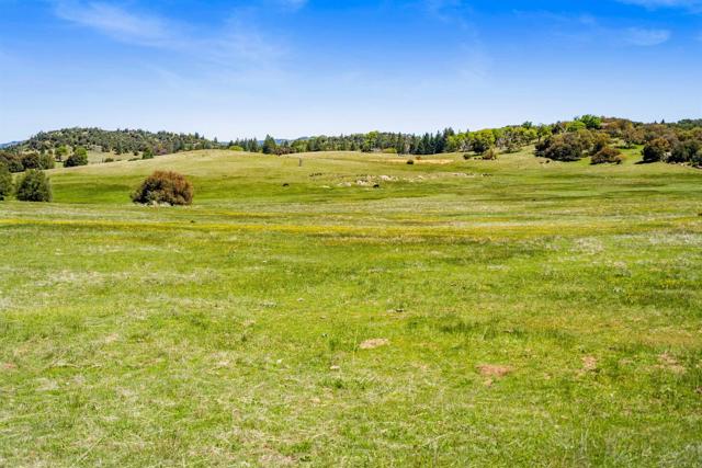 3510 Deer Lake Park Road, Julian CA: https://media.crmls.org/mediaz/5a840f65-ce36-46b0-8c6d-6385de1e78ad.jpg