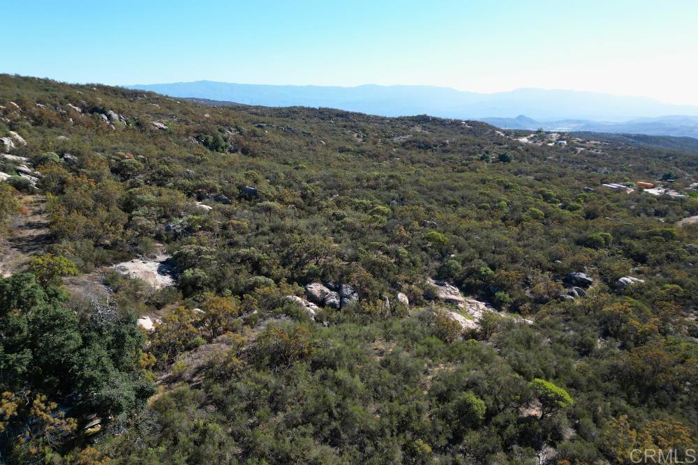 MLS #PTP2507282 image #37