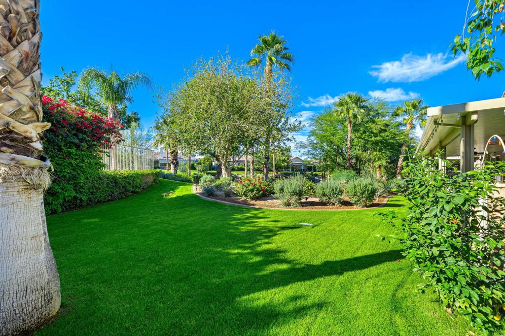 MLS #219139652DA image #5