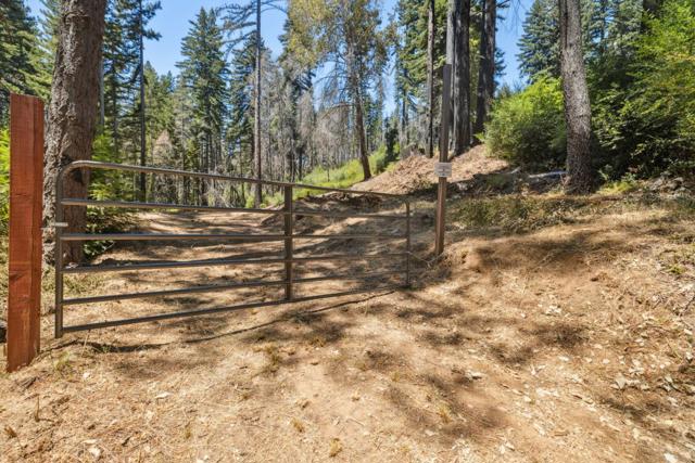 0 & 06 Branson, Boulder Creek CA: https://media.crmls.org/mediaz/5a8cf054-6147-43c1-b27e-de96dca1fe30.jpg