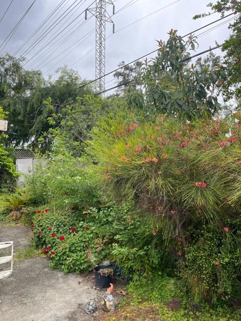5315 Joseph Lane, San Jose CA: https://media.crmls.org/mediaz/5a96b0c0-0e79-4746-af6a-35c6667d669b.jpg