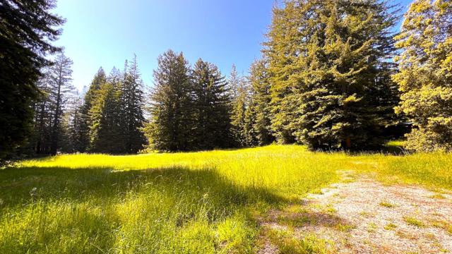 3675 Bonny Doon Road, Santa Cruz CA: https://media.crmls.org/mediaz/5a9cc3d2-d703-4647-93a8-13cd635c58f4.jpg