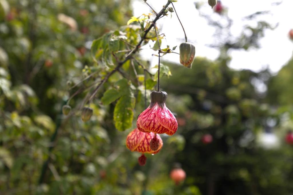 MLS #ML82002457 img 55