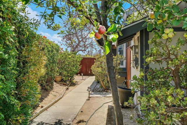 5233 Caminito Cachorro, San Diego CA: https://media.crmls.org/mediaz/5aabf5c2-230a-471d-bd83-1da335937a94.jpg