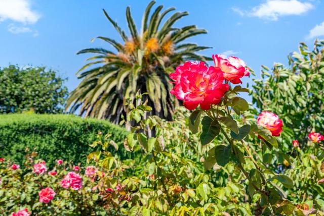 1781 Prune Street, Hollister CA: https://media.crmls.org/mediaz/5aadfc52-6e3c-4c51-bd54-372c3baad583.jpg