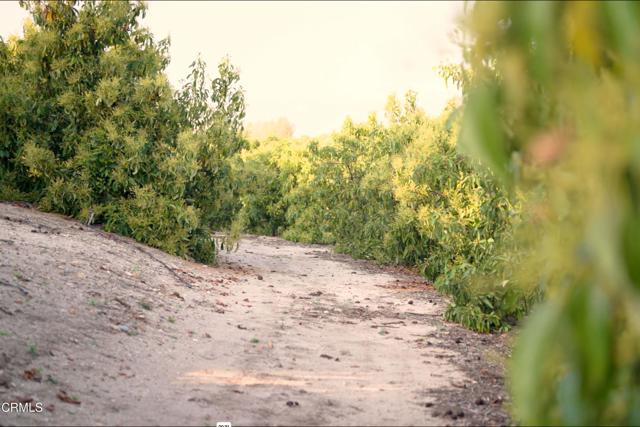 Detail Gallery Image 14 of 18 For 15295 Middle Ranch Rd, Moorpark,  CA 93021 - – Beds | – Baths