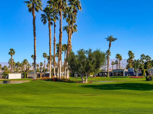 80394 Avenue 48, Indio CA: https://media.crmls.org/mediaz/5ac9f04d-4ac4-4d60-a643-3037ded85d68.jpg