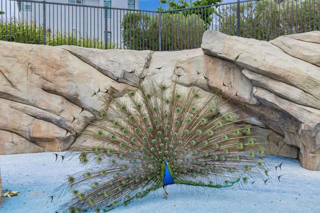 MLS #ML82029237 image #36