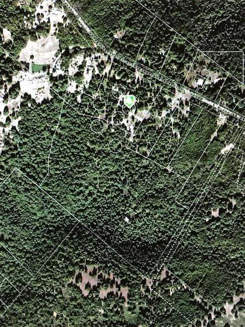 MLS #ML81992698 image #4