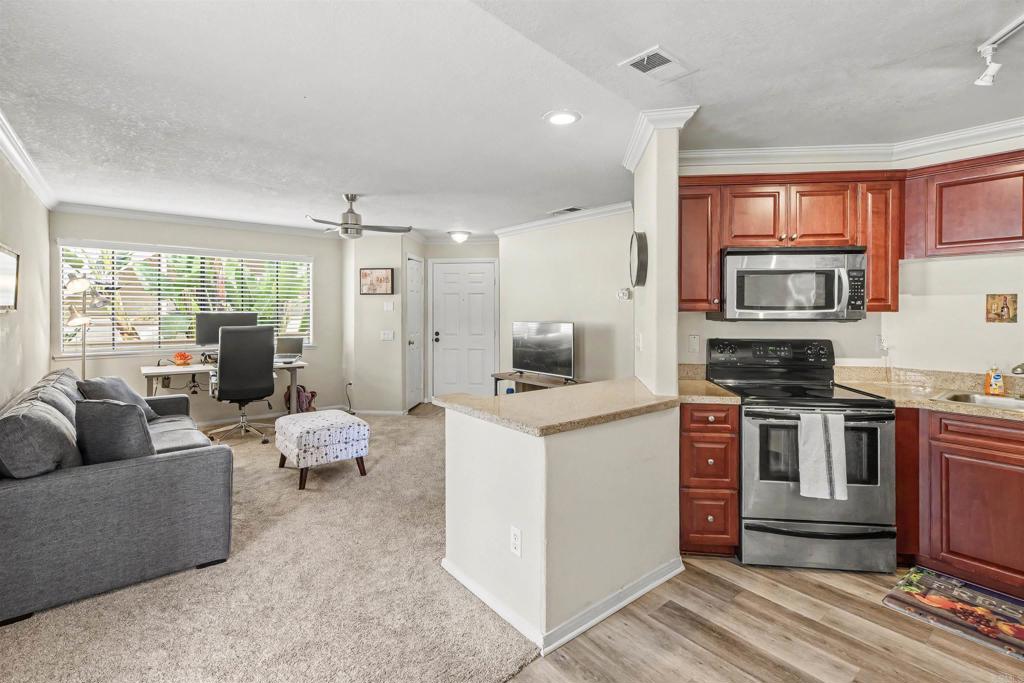 3524 Paseo De Los Americanos - photo 12