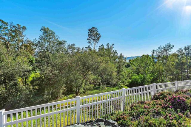 Detail Gallery Image 44 of 46 For 30610 Colina Verde St, Temecula,  CA 92592 - 4 Beds | 3 Baths