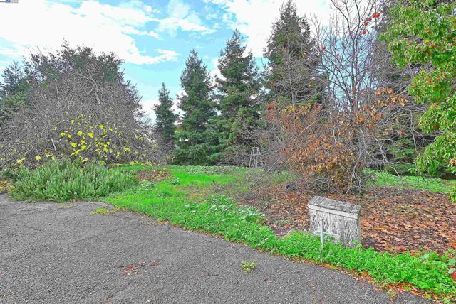 Image 38 of 51 For 181 Lewelling Blvd