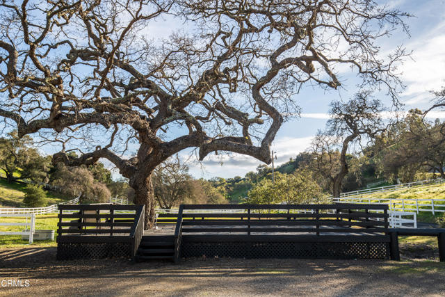 Detail Gallery Image 45 of 54 For 3570 Woodstock Rd, Santa Ynez,  CA 93460 - 6 Beds | 5/1 Baths