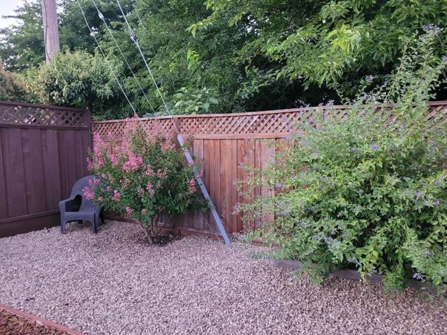 315 Colleen Court, Morgan Hill CA: https://media.crmls.org/mediaz/5afd41ad-827f-4030-ae11-65182dd1cdac.jpg