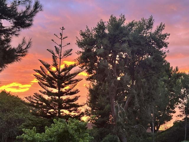 220 S Shorehang Lane, Encinitas CA: https://media.crmls.org/mediaz/5b0323b3-4526-4bc7-b3c7-9a3016304a51.jpg