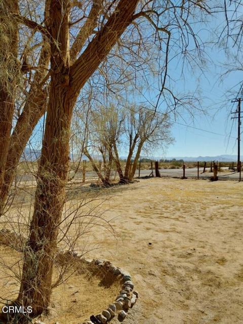 Detail Gallery Image 44 of 54 For 72519 Rio Grande (Silver Lane), Baker,  CA 92309 - – Beds | – Baths