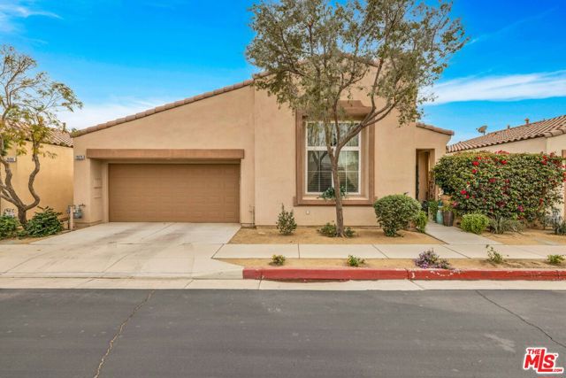 Image 29 of 40 For 79275 Rose Dawn