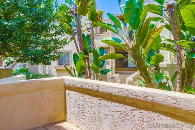 3268 Via Marin, La Jolla CA: https://media.crmls.org/mediaz/5b28c438-8204-4d1b-93f5-eecad2cf955d.jpg