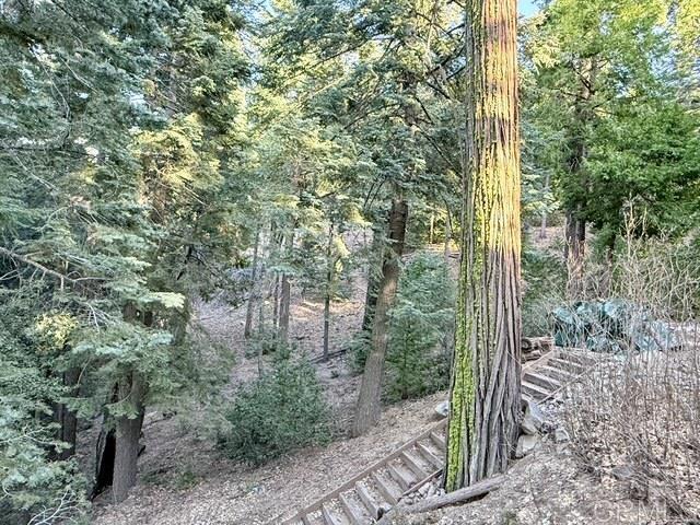 Detail Gallery Image 37 of 42 For 22136 Crestline Rd, Palomar Mountain,  CA 92060 - 1 Beds | 1/1 Baths