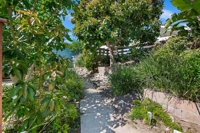 Detail Gallery Image 41 of 59 For 246 Crestwood Ave, Ventura,  CA 93003 - 4 Beds | 2/1 Baths