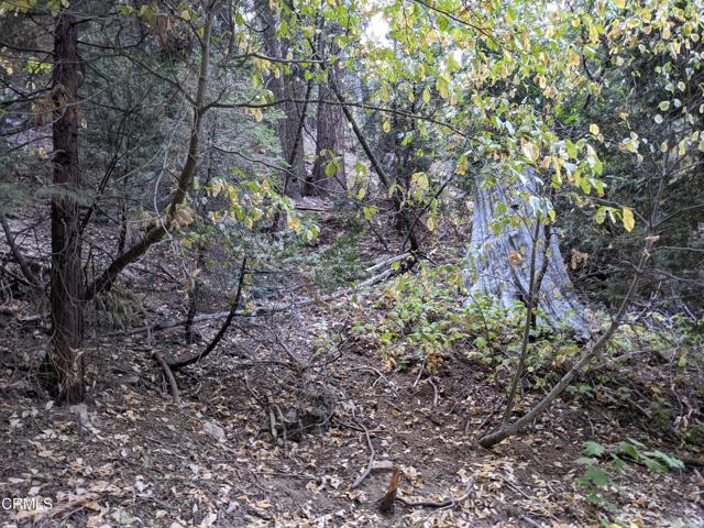 Detail Gallery Image 3 of 14 For 0 Fleming Creek, Lake Arrowhead,  CA 92352 - – Beds | – Baths