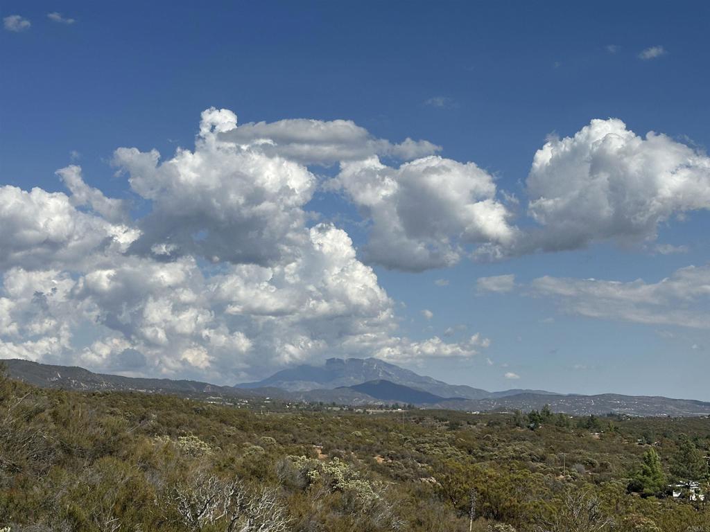 MLS #PTP2506948 image #9