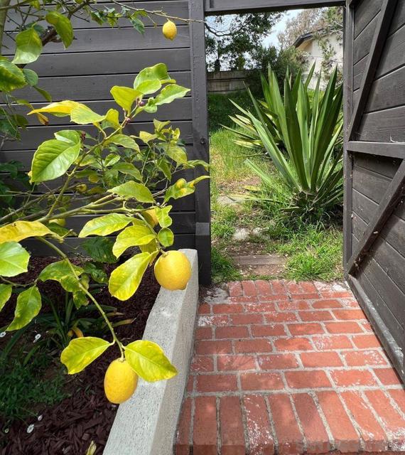 548 Tarento Dr, San Diego CA: https://media.crmls.org/mediaz/5b5c8e0f-4354-44bf-902e-12fadfb6f2f1.jpg