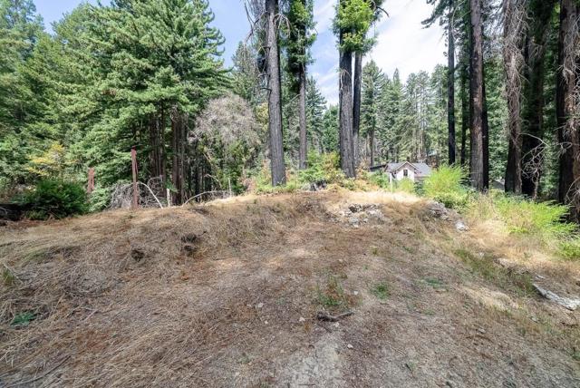 1035 Rambling Road, Boulder Creek CA: https://media.crmls.org/mediaz/5b61fafc-f8d4-4ad9-ae17-65a98ca6c07c.jpg
