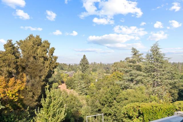 26960 Orchard Hill Lane, Los Altos Hills CA: https://media.crmls.org/mediaz/5b6e0720-a57a-4d4b-8c2a-69590052a2ce.jpg